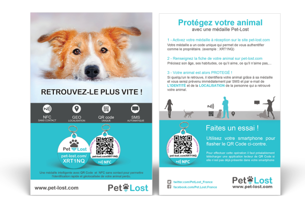Le Flyer Pet-Lost