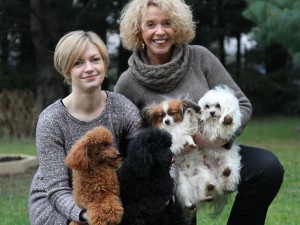 Élevage familial de petits chiens de compagnie : Shih Tzu, Bichons maltais, Spitz....
Tous les chiens sont LOF, vaccinés pucés.
Pour voir les photos des chiots disponibles http://shihtzu.free.fr.<br />
